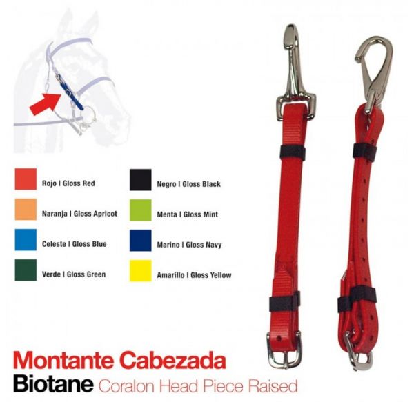 Montante Cabezada Biotane Lr130012